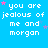 Blue background with repeated white pixelated text 'you are jealous of me and morgan' surrounded by pink and purple stars, one gray square in bottom-right corner.