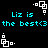 Pixelated cyan text 'Liz is the best<3' repeats on black background with white geometric shapes in corners and center.