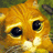 A pixelated orange cat with large black eyes and a white muzzle appears on the left side of a blue background, with yellow text arranged in four sections on the right.