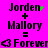 Pixelated text on bright pink background shows 'Jorden + Mallory = Forever' with green pixel clusters near 'Jorden' in two side-by-side