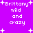 Purple background with white pixelated text reading 'Brittany wild and crazy' repeated four times, surrounded by small plus-shaped sparkles.