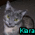 Two cats in separate with text overlays; gray cat on left, black cat on right, both with yellow eyes and relaxed postures