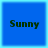 Four identical blue square arranged in a , each containing the word 'Sunny' in dark green pixelated text
