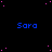 Blue text reading 'Sara' repeated across a black background with scattered pink dots, with a gray rectangle in the bottom-right corner.