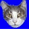 Two side-by-side animated frames of a cat's face on a blue background with visible pixelation and dithering effects.