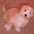 A small dog with light brown and white fur stands on a textured reddish-brown surface, its mouth open in a pant.