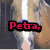Four horse images arranged in a with red text labels: 'Peta,', 'Jem,', and 'Willam' over individual horses