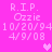 Pixelated pink memorial icon with repeated text and heart symbols on a solid background.