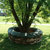 Static pixelated image of a dark brown pot with a light blue rim holding a small tree with two thin branches against a blurred green and yellow background.
