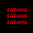 Red pixelated text 'SARANG' repeated across multiple on black and white backgrounds with varying arrangements