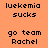 Pixelated text displays 'luekemia sucks' and 'go team Rachel' across four quadrants with alternating background colors.