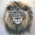 Animals icons for AIM, MSN, MySpace and Yahoo