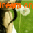 A pixelated image shows a person holding white flowers with green stems against a blurred background, overlaid by orange text reading 'dream on' at the top.