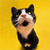 Pixelated black-and-white cat with red nose against solid yellow background, mouth open in mid-yawn or meow, ears perked, eyes partially closed.