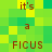 Green pixelated background with repeated brown text 'it's a FICUS' in two , each containing four instances of the phrase