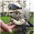 Pixelated image of a figure in a dark cap and light jacket holding a pink object against a green and gray background.