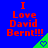 Blue background with red text reading "I Love David Bernt!!!" and green triangular shapes containing purple hearts.