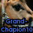 Pixelated close-up of a character's face with brown hair and a white collar, overlaid with blue text reading "Grand-chapion10".