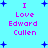 Pixelated cyan background with blue star shapes and pink text reading "I Love Edward Cullen" in two vertical