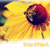 A pixelated sunflower with a red and black center, yellow petals, and green stem against a bright background.