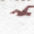 Brown pixelated shape on white background, resembling a stylized animal or abstract form with curved limbs and rounded body segments.