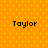 Four identical pixelated text labels "Taylor" on an orange background with yellow dots, arranged in a pattern