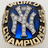 A circular icon with a gold and black border displaying a blue background with a silver 'NY' logo and the word 'CHAMPIONS' in gold lettering.