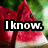 Pixelated watermelon slice with green rind and red flesh, overlaid with black-outlined white text in