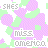 Animated icon with repeating pattern of purple and green shapes, text 'SHE'S', 'miss.', and 'america' in varying colors across frames.