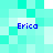 Pixelated turquoise and white background with four instances of blue text reading 'Erica' positioned in corners