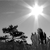 Black-and-white pixelated image showing a bright sunburst in the upper right, with silhouetted trees and figures below against a gradient sky.