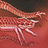 A 48x48 pixel animated buddy icon featuring a red and pink abstract motion blur effect on the left side with white text "Anime IM" and "COM" on a black background to the right, displayed as two frames in a contact sheet layout.