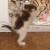 Pixelated static image of a figure in mid-air with limbs extended, set against a blurred background featuring indistinct shapes and colors.