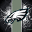Pixelated eagle head logo with green vertical stripe on left, black background on right displaying 'I BLEED GREEN' in green text and multiple exclamation marks.