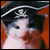 A small animated icon shows a cat wearing a pirate hat with skull and crossbones, against an orange background. The cat's mouth opens and closes in a looping animation.