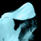 Animated sequence of a stylized skull with shifting blue and black tones, featuring white highlights on the jaw and eye socket