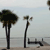 Static pixelated image of two palm trees on a beach with a light blue sky and calm water in the background.