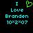 Pixelated cyan text and green heart symbol on black background, with identical static frames showing 'I Love Branden 10*2*07' in two side-by-side