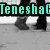 Pixelated image with cyan text "TeneshaC" over a grayscale background of legs walking, purple text "Roxyour" over a red object, and green text "Sox!" over a star-shaped object.