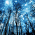 A pixelated blue-toned forest scene with tall trees and scattered light patches, paired with a vertical text block reading "reach for the STARS" in dark blue letters on white background.
