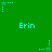Green background with repeated light blue text 'Erin' and star-shaped pixel art elements in various positions.