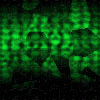 Animated green and black background with repeating 'NOS' text, blue hooded figures holding scythes, white 'No One' and 'Survives!' text.