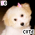 iconhell_suqababii_so cute