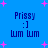 Blue background with pink plus signs and four identical text blocks reading 'Prissy :] wm wm' in dark blue pixelated font.