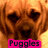 Pixelated brown dog face with dark eyes and nose, pink rectangular text box containing 'Puggles' in black letters at bottom.