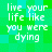 Green and cyan pixelated background with white text repeating 'live your life like you were dying' in four identical sections