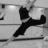 Black silhouette of a figure in dynamic pose against light gray background with horizontal lines and scattered dark pixels.