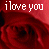 Doll Buddie Icons