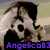 A collage of three horse images with overlaid text: a black-and-white horse, a white horse with brown patches, and a running horse.