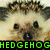A pixelated hedgehog face with dark eyes and a small nose, featuring green text reading 'HEDGEOG' across the lower portion.